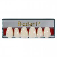 PLACA DIENTES ACRÍLICOS ANTERIOR INF A3.5 ref 136